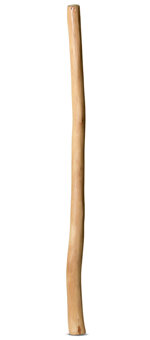 Natural Finish Didgeridoo (TW796)